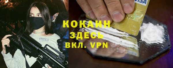spice Алексин