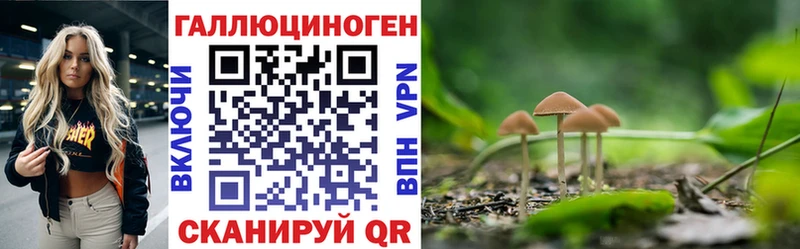 гидра маркетплейс  где можно купить   Сухой Лог  Галлюциногенные грибы Psilocybine cubensis 