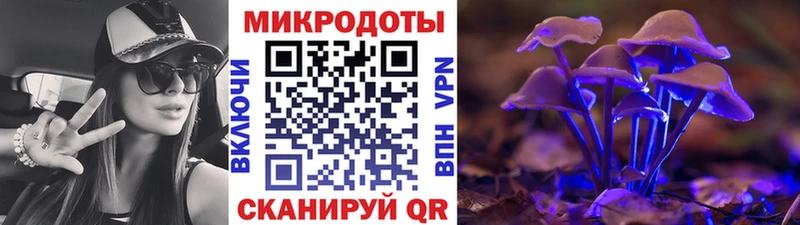 Галлюциногенные грибы MAGIC MUSHROOMS Сухой Лог