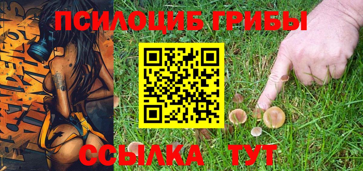 Псилоцибиновые грибы мухоморы Сухой Лог