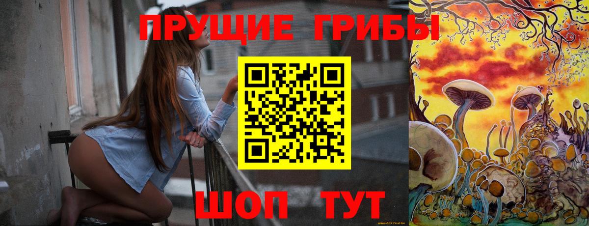 Галлюциногенные грибы GOLDEN TEACHER  Псилоцибиновые грибы Psilocybe  как найти закладки  Вход с VPN  Сухой Лог 